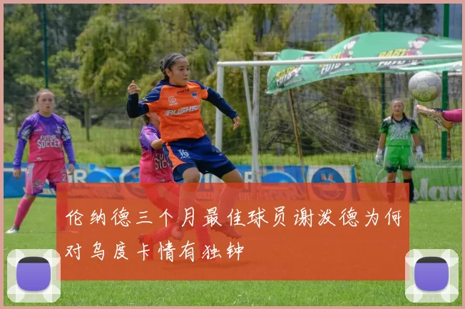伦纳德三个月最佳球员谢泼德为何对乌度卡情有独钟